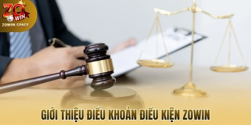 Giới thiệu điều khoản điều kiện Zowin